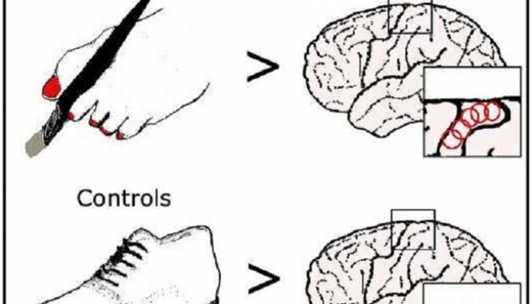 خرائط لنشاط القدمين في مخ أصحاب الهمم من فاقدي اليدين