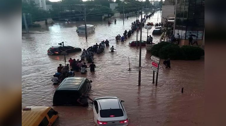 سيول في تونس