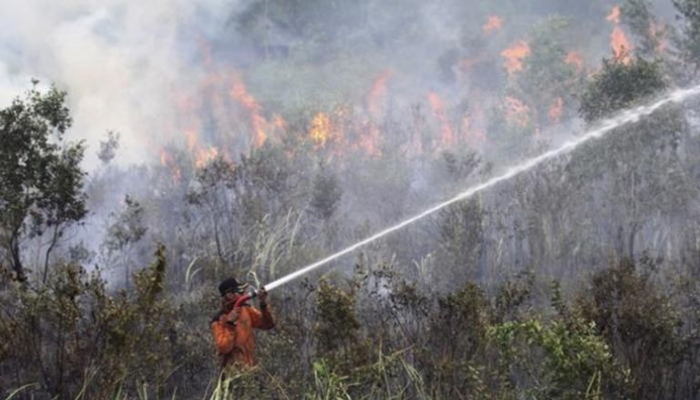 حرائق الغابات في إندونيسيا - أرشيفية