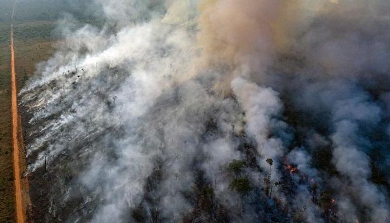 حرائق غابات الأمازون - رويترز 
