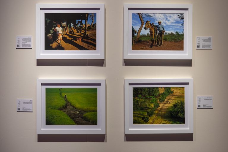 المعرض يرصد جوانب الحياة حول العالم  