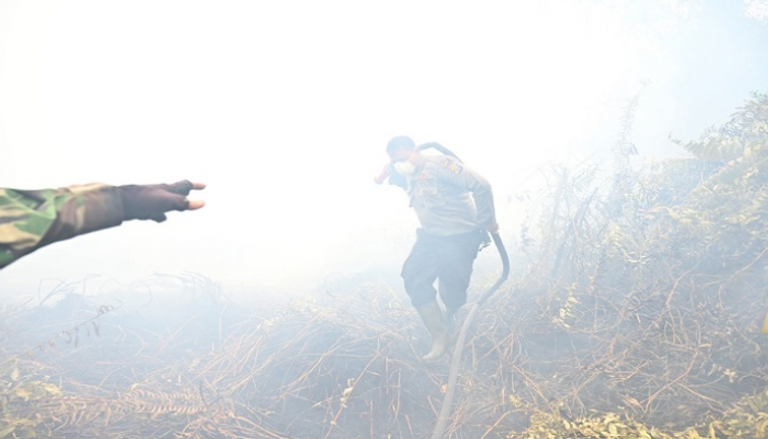 حرائق الغابات تهدد مناخ ماليزيا وإندونيسيا 