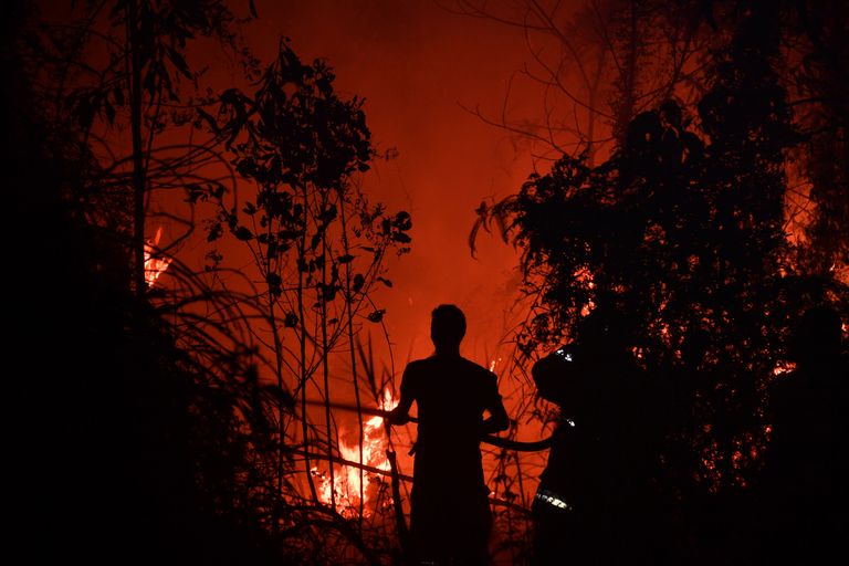 حرائق الغابات تهدد مناخ ماليزيا وإندونيسيا