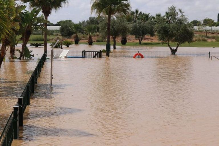 ديفيد دي خيا حارس مرمى مانشستر يونايتد