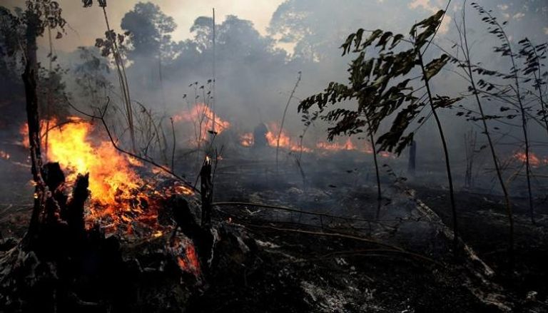 حرائق غابات الأمازون 