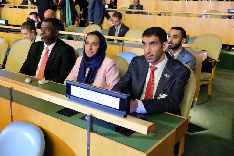 الدكتور ثاني بن أحمد الزيودي