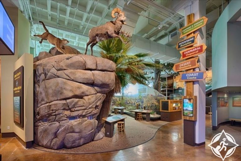 أسباب تدفعك لزيارة مدينة سان دييجو الأمريكية