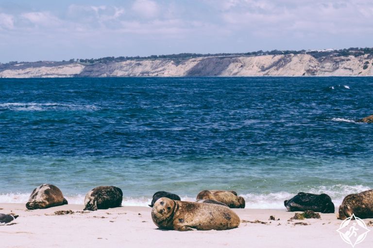 أسباب تدفعك لزيارة مدينة سان دييجو الأمريكية