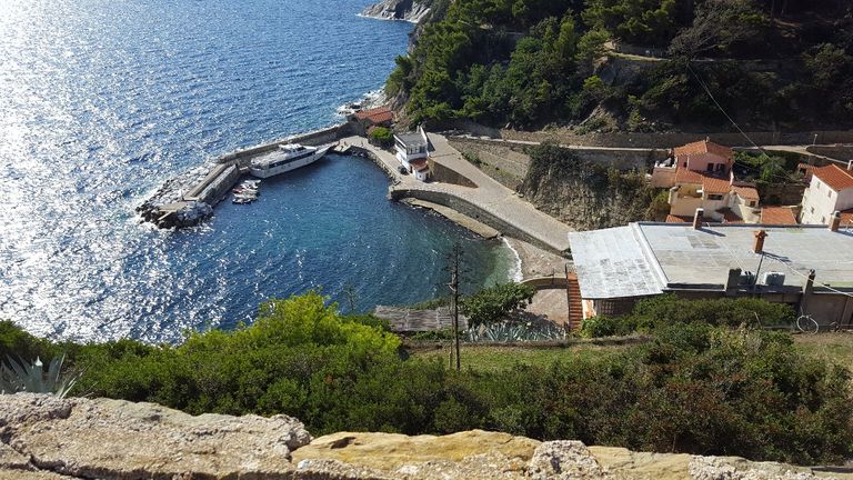 جزيرة جورجونا الإيطالية