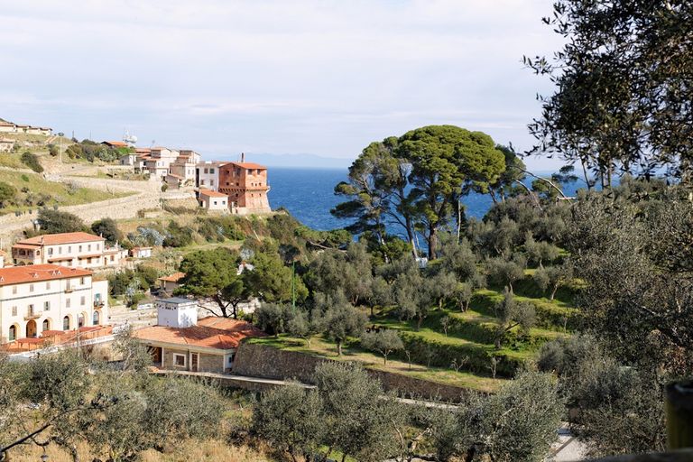 جزيرة جورجونا الإيطالية