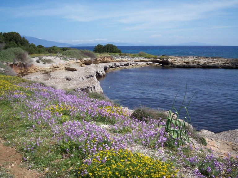 جزيرة جورجونا الإيطالية