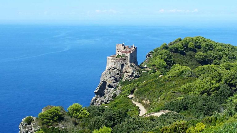 جزيرة جورجونا الإيطالية