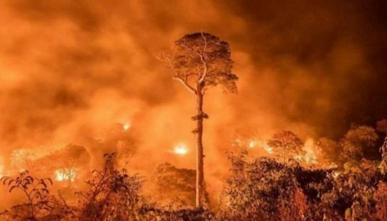 النيران تستعر في غابات إندونيسيا منذ أشهر - أرشيفية