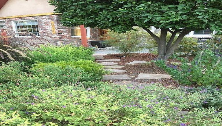 المنازل شديدة الصغر ضمن خيارات السكن في وادي السليكون