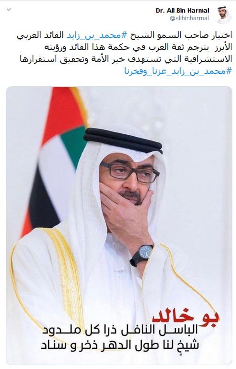 الشيخ محمد بن زايد آل نهيان القائد العربي الأبرز في 2019