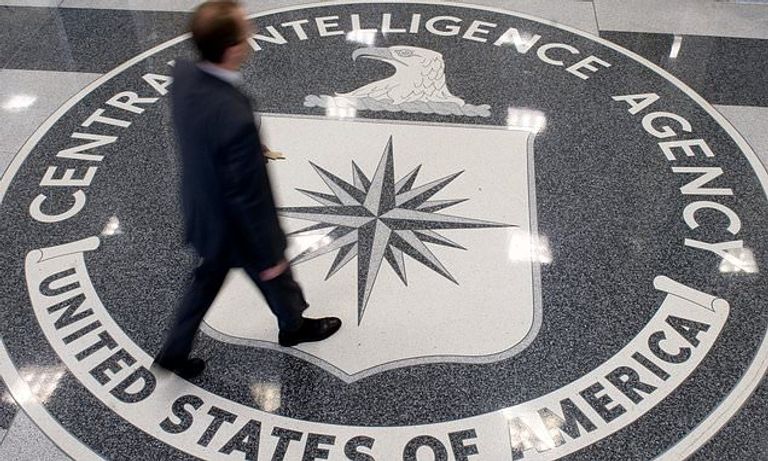 الصقر هدسون يقف على درج مقابل لموظفي المقر