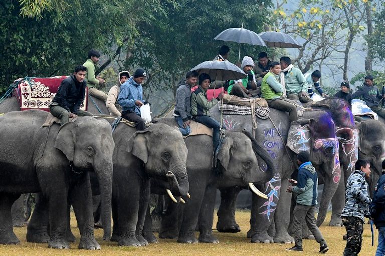 المهرجان يستقطب مئات المتفرجين