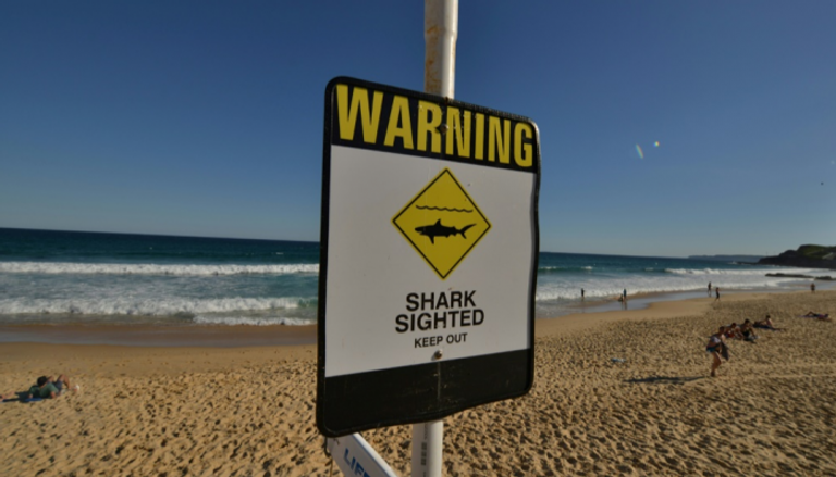 أستراليا تسجل أحد أعلى معدلات هجمات القرش في العالم