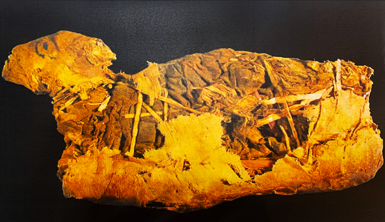 الشيخ الدكتور سلطان بن محمد القاسمي