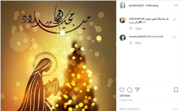 الفنانة اللبنانية سيرين عبدالنور - أرشيفية