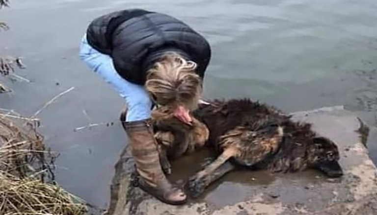المرأة لحظة إخراجها الكلب من النهر