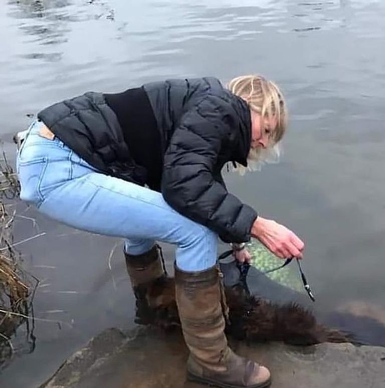 المرأة لحظة إنقاذها الكلب من الغرق
