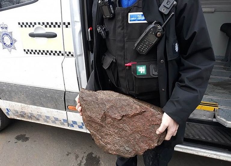 المرأة لحظة إنقاذها الكلب من الغرق