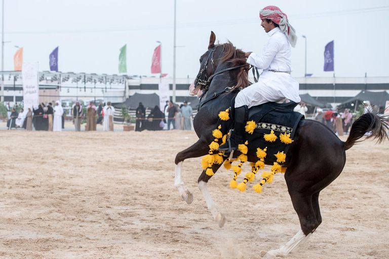 الجمهور يتفاعل بشغف مع فعالية الخيول وإطلاق البارود في المهرجان