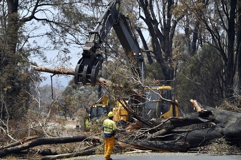 حرائق الغابات أسفرت عن خسائر بشرية ومادية