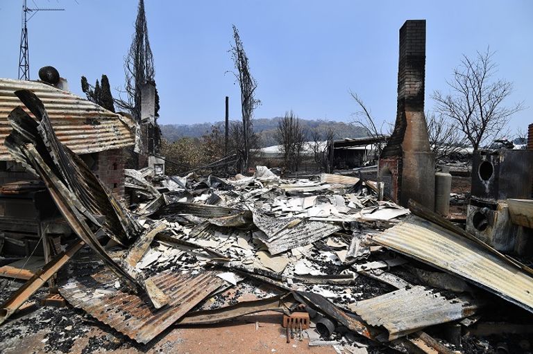 حرائق الغابات أسفرت عن خسائر بشرية ومادية