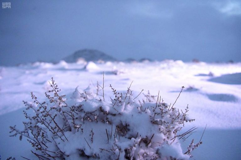 مرتفعات جبال اللوز والمحرق شهدت تساقطا كثيفا للثلوج