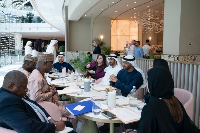 جانب من لقاء الشيخ محمد بن زايد آل نهيان والبروفيسور تيجاني محمد باندي