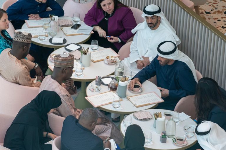 جانب من لقاء الشيخ محمد بن زايد آل نهيان والبروفيسور تيجاني محمد باندي