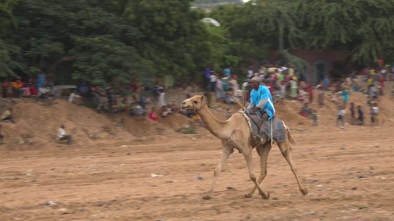 رعي الإبل من القطاعات التجارية المهمة في إثيوبيا