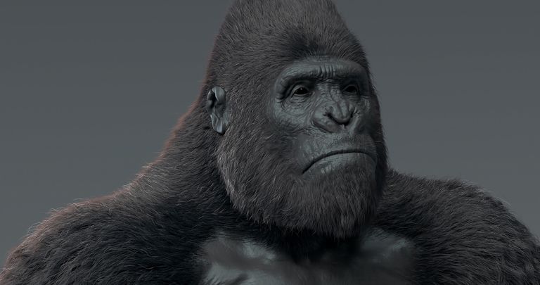 صورة من تصميمات عبد الوهاب عصام