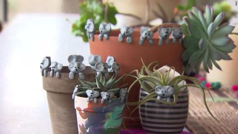 الطفل الأمريكي أوين كولي