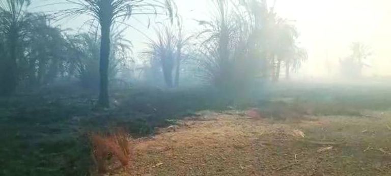 الحريق يلتهم 10 آلاف نخلة