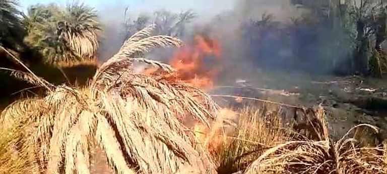 الحريق يلتهم 10 آلاف نخلة