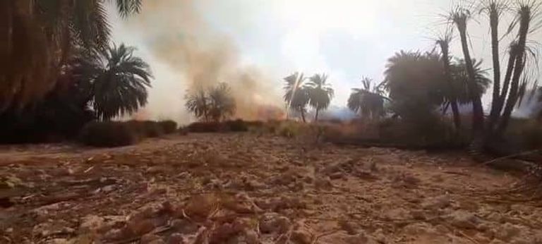 الحريق يلتهم 10 آلاف نخلة