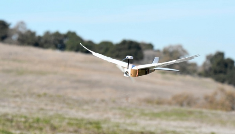 طائرة "بيجن بوت" من ريش الطيور الحقيقية تحلق