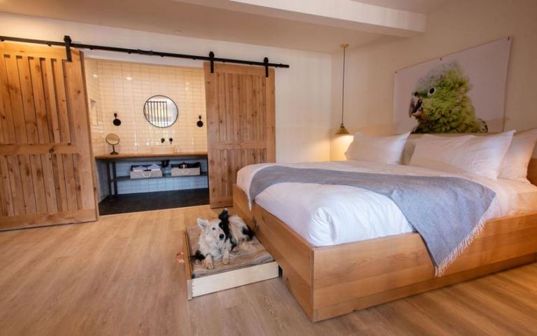 الفندق يستخدم عائداته لوقف قتل الحيوانات في أمريكا