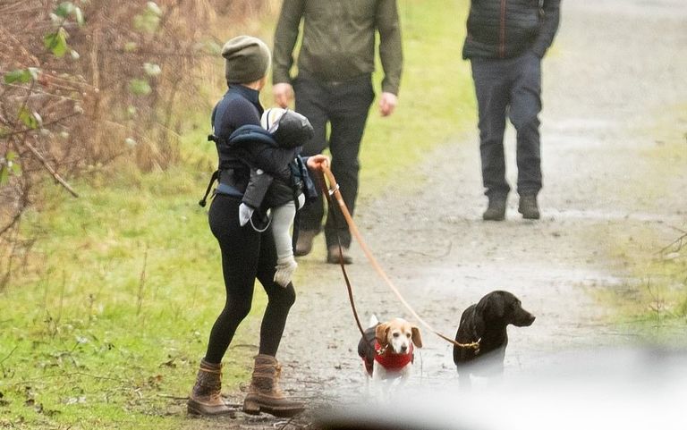 ميجان ماركل في نزهة مع نجلها وكلبيها