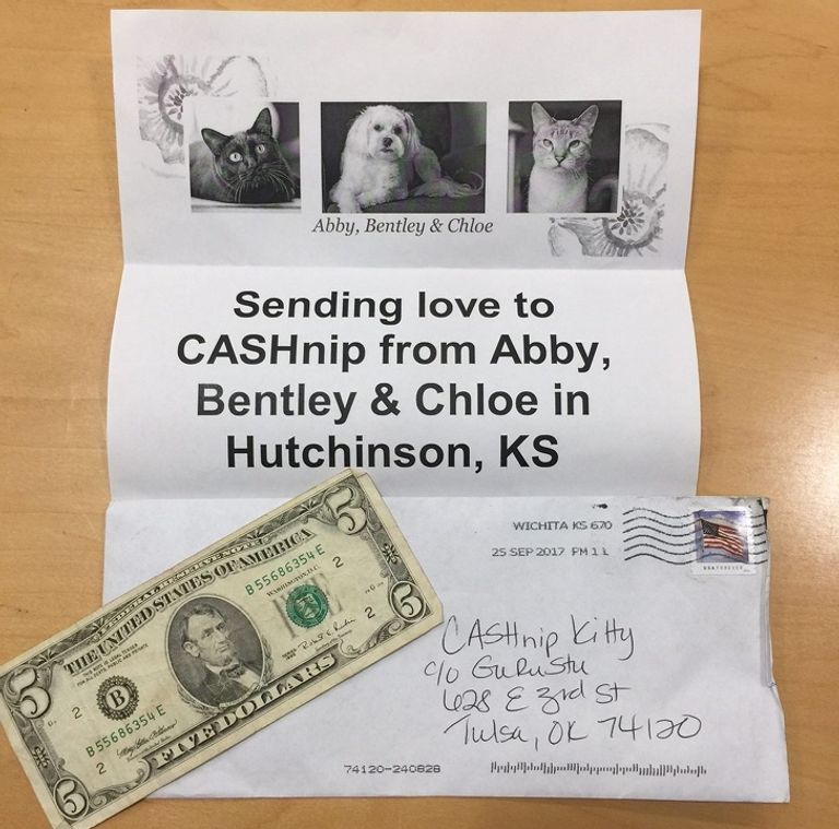 القط بجانب الأموال التي يلعب بها مع المارة