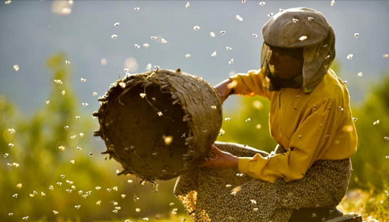 مشهد من فيلم "أرض العسل"