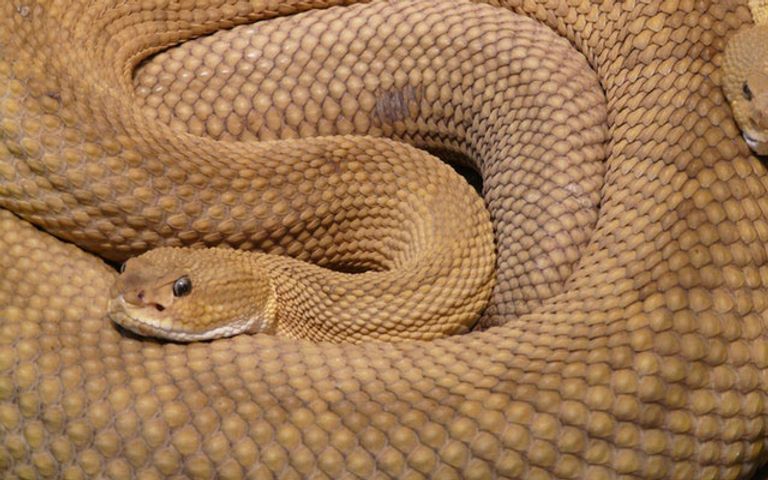 7 أماكن محظورة زيارتها