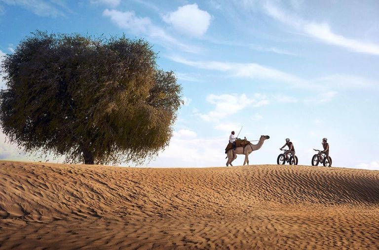 أجمل منتجعات الإمارات الصحراوية