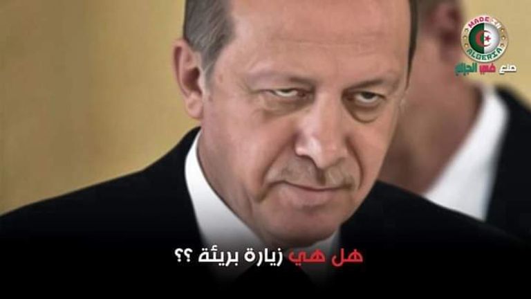 جزائريون يتساءلون عن دوافع الزيارة الرئيس الجزائري عبدالمجيد تبون وأردوغان