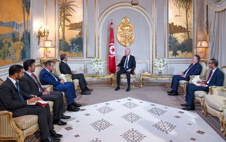 الشيخ عبدالله بن زايد آل نهيان والرئيس التونسي قيس سعيد