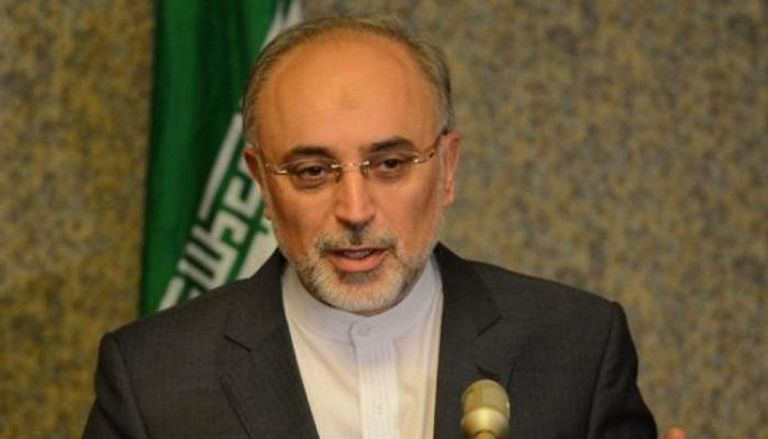 رئيس منظمة الطاقة النووية الإيرانية علي أكبر صالحي 