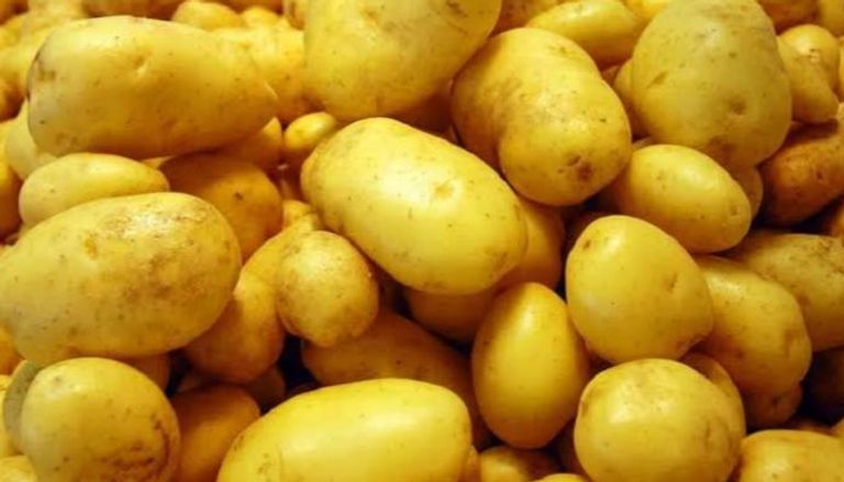 البطاطس المصرية في الهند لأول مرة 